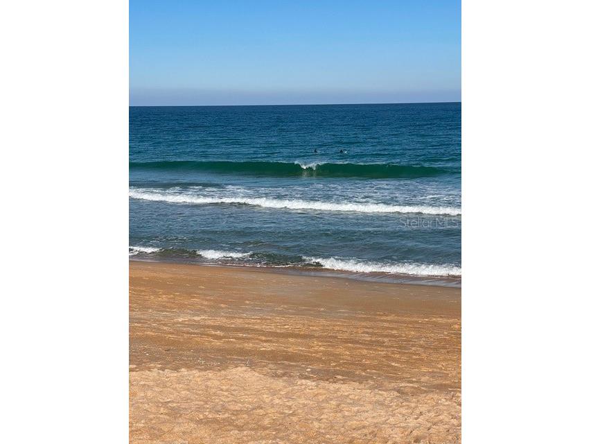 769 Grand Reserve Drive Bunnell FL 32110 O6339914 image41