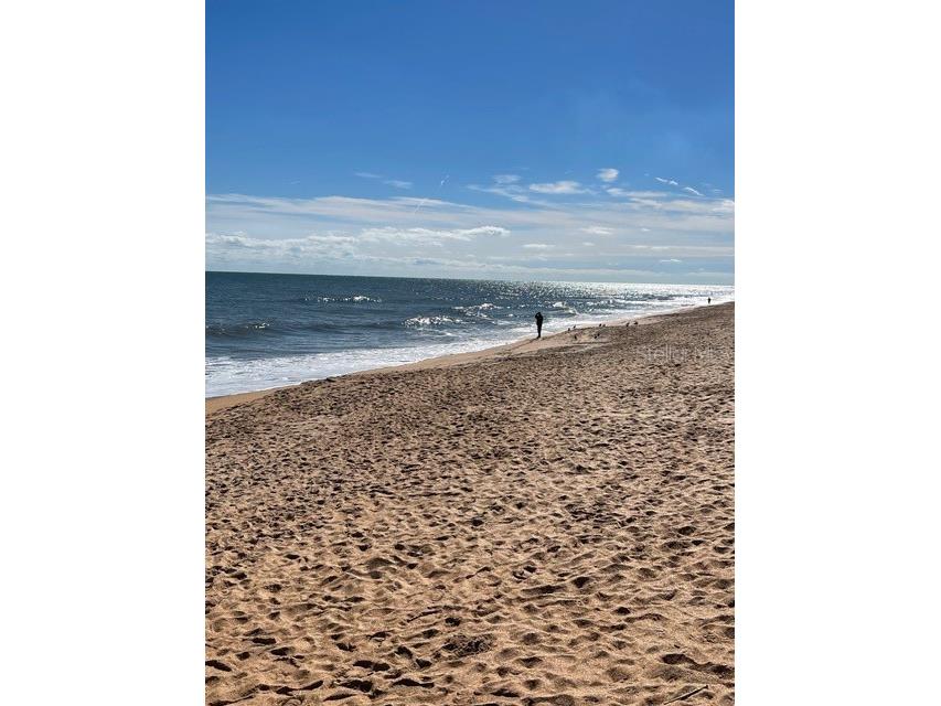 769 Grand Reserve Drive Bunnell FL 32110 O6339914 image42