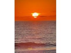 769 Grand Reserve Drive Bunnell FL 32110 O6339914 image43