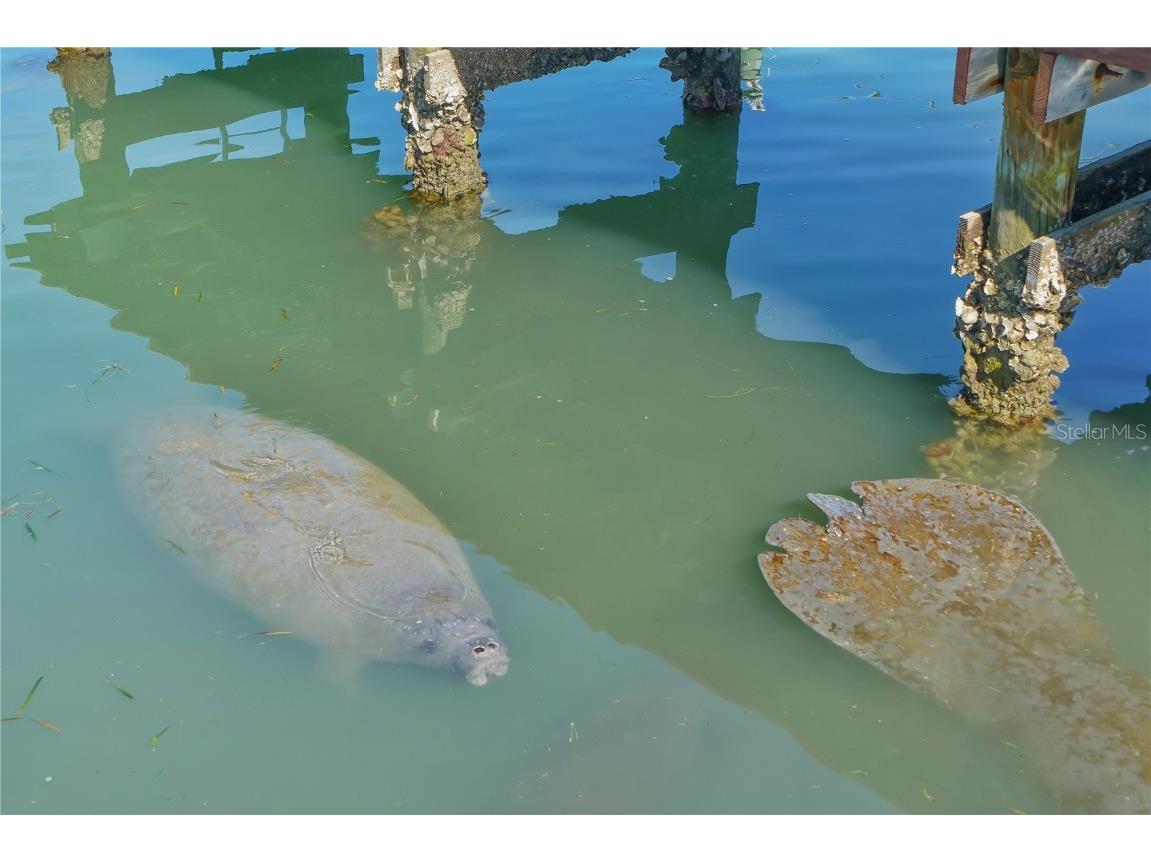 769 John Ringling Boulevard #3 Sarasota FL 34236 - SARASOTA BAY A4664887 image28