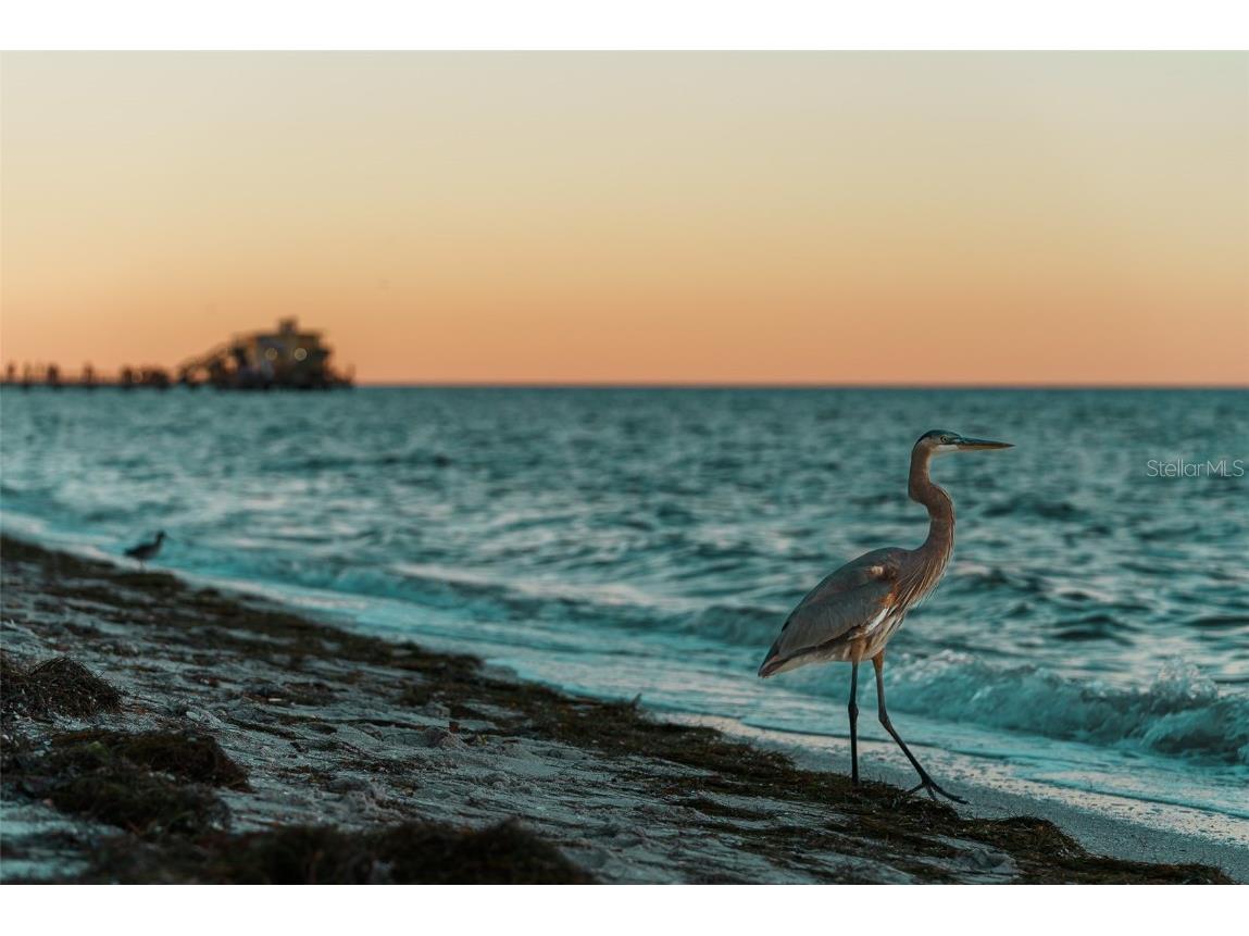 769 N Shore Drive Anna Maria FL 34216 A4595695 image16