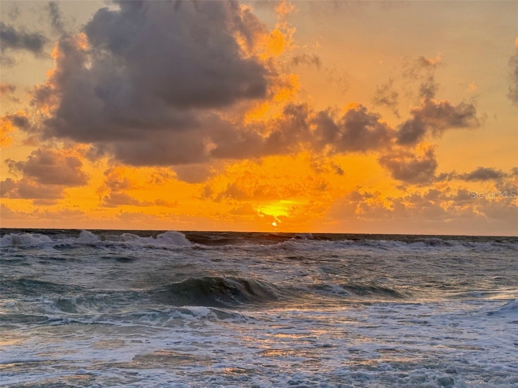 769 North Shore Drive Anna Maria FL 34216 A4619132 image11