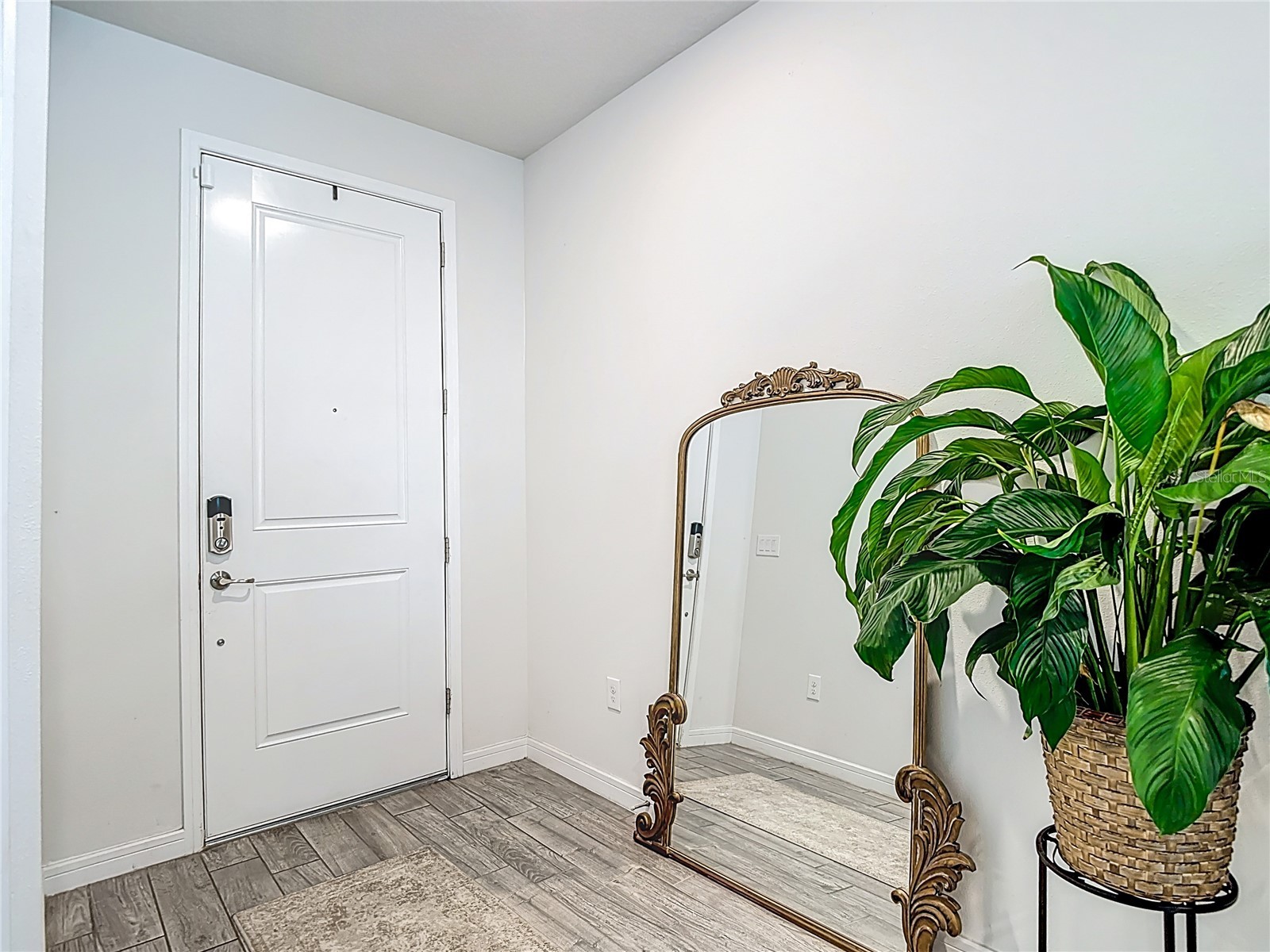 769 Parsons Mooring Court Seffner FL 33584 TB8481447 image27