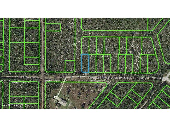 769 Washington Boulevard Lake Placid FL 33852 OM542042 image1