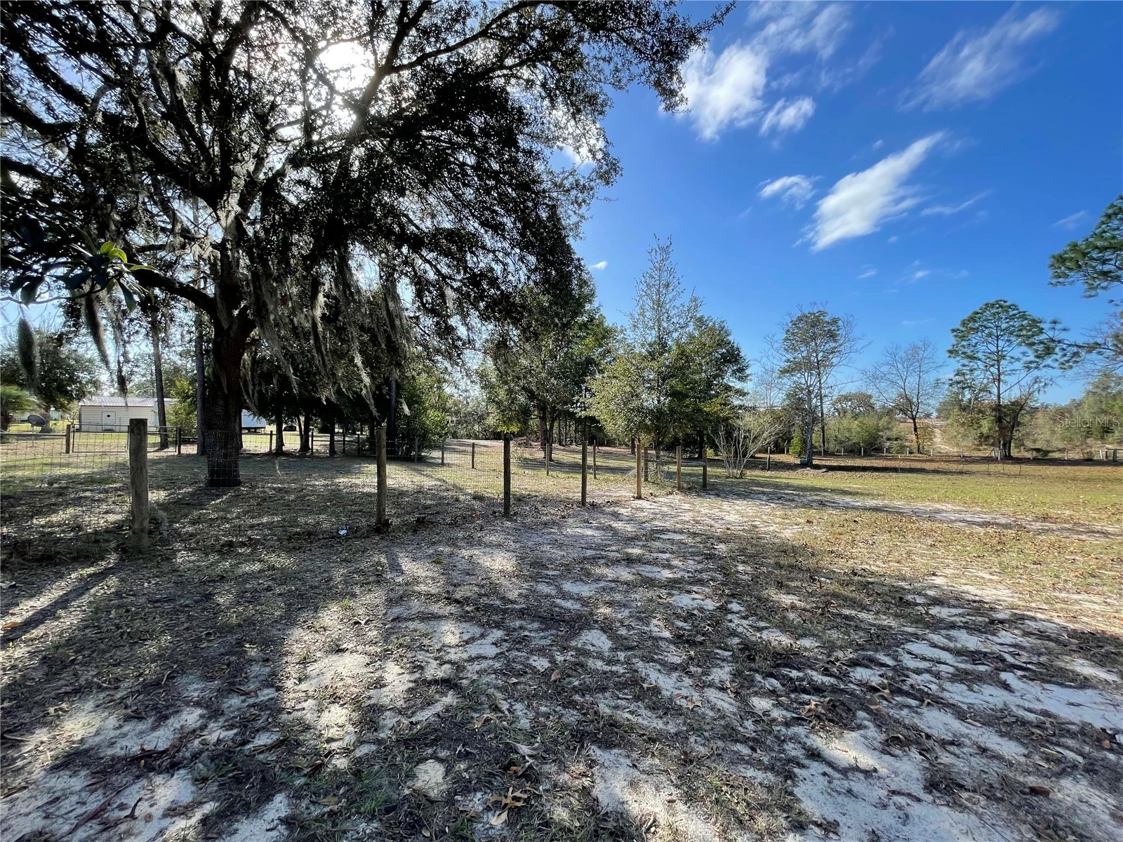 7690 SE 193rd Avenue Morriston FL 32668 OM715175 image50