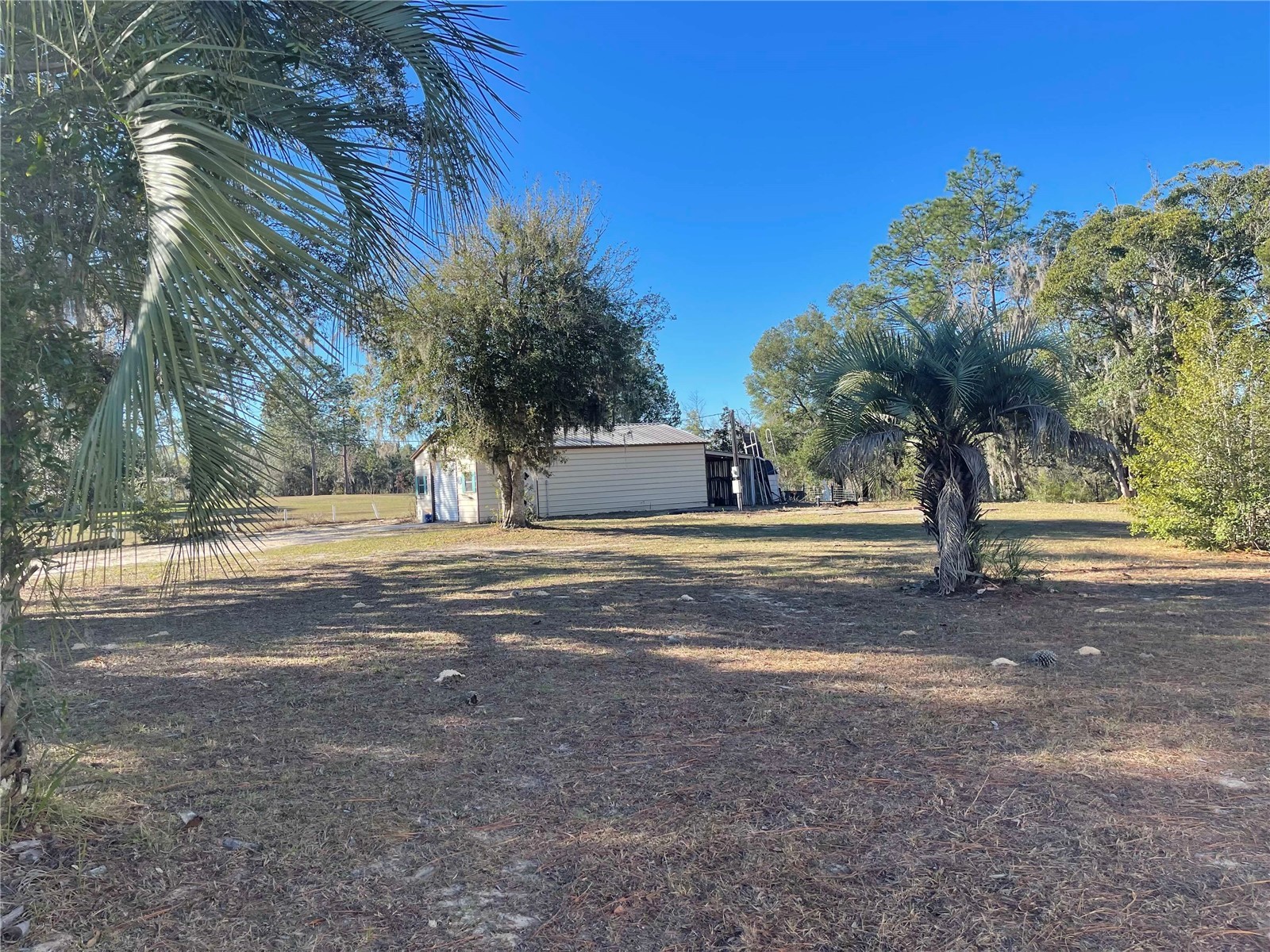 7690 SE 193rd Avenue Morriston FL 32668 OM715175 image57