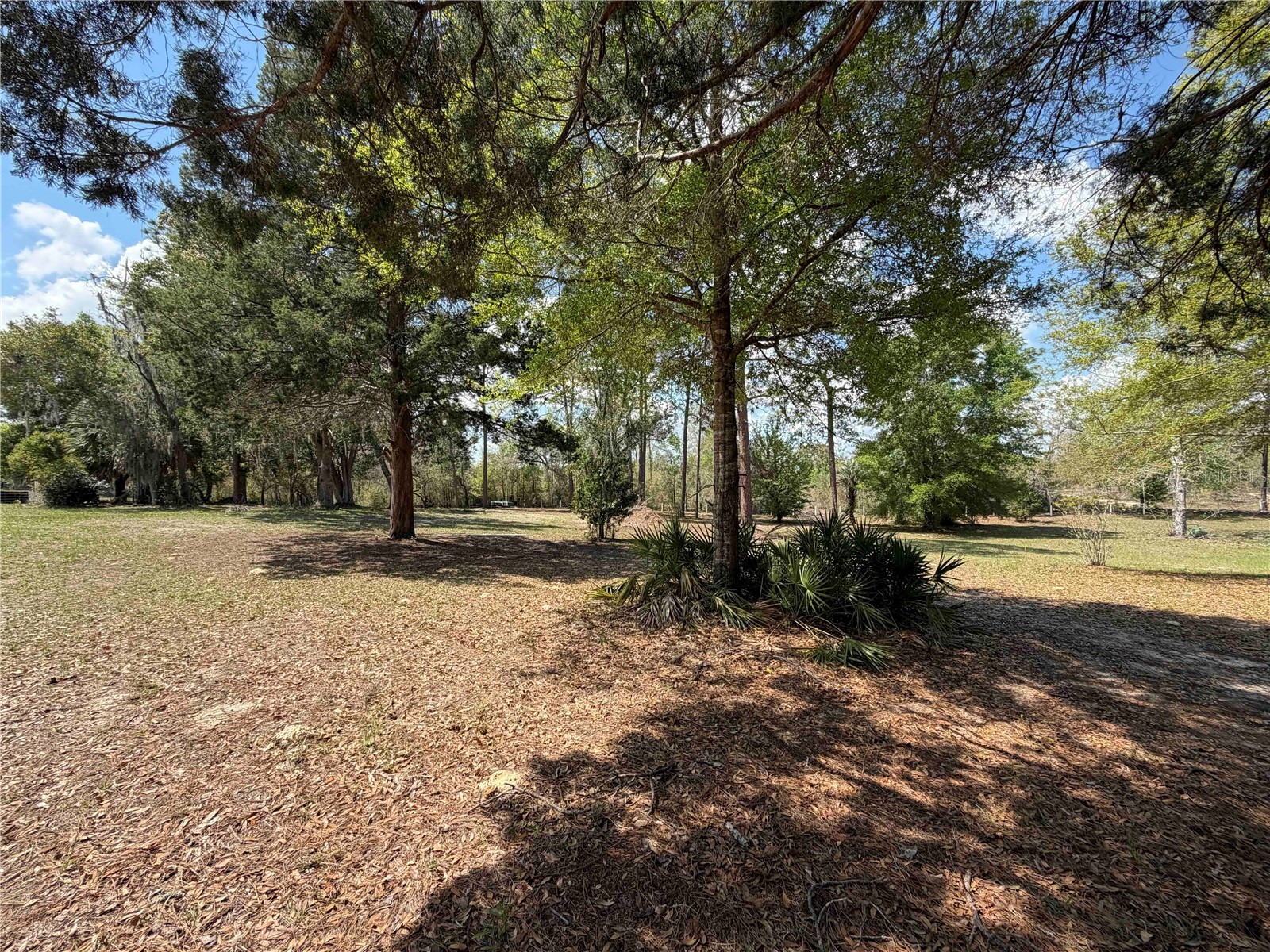7690 SE 193rd Avenue Morriston FL 32668 OM715175 image67