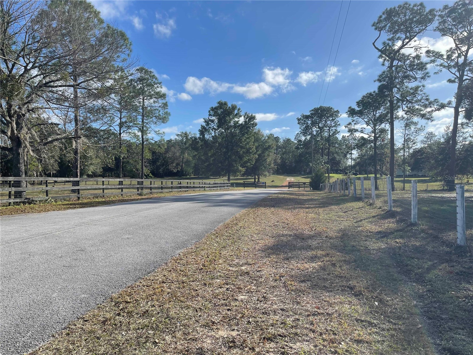 7690 SE 193rd Avenue Morriston FL 32668 OM715175 image75