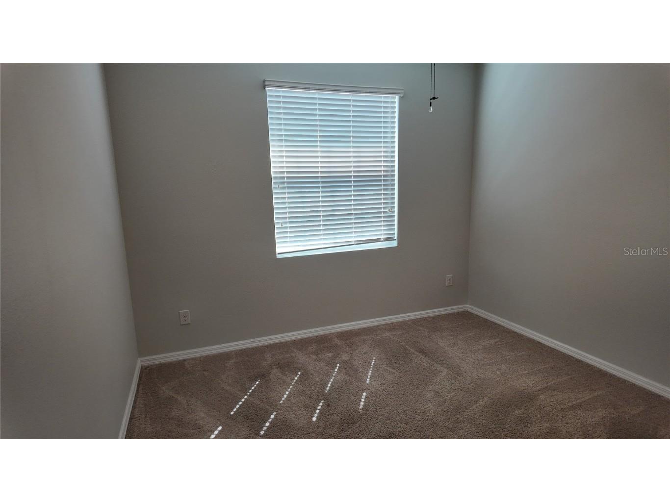 7690 Timberview Loop Wesley Chapel FL 33545 TB8431422 image15