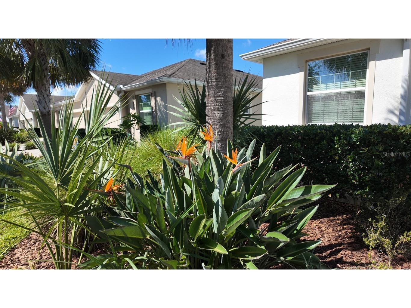 7690 Timberview Loop Wesley Chapel FL 33545 TB8431422 image3