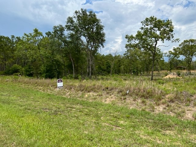 7691 NE 58th Avenue Anthony FL 32617 OM640300 image1