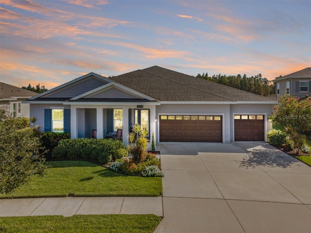 7694 Roma Dune Drive Wesley Chapel FL 33545 - EPPERSON LAGOON T3484813 image1