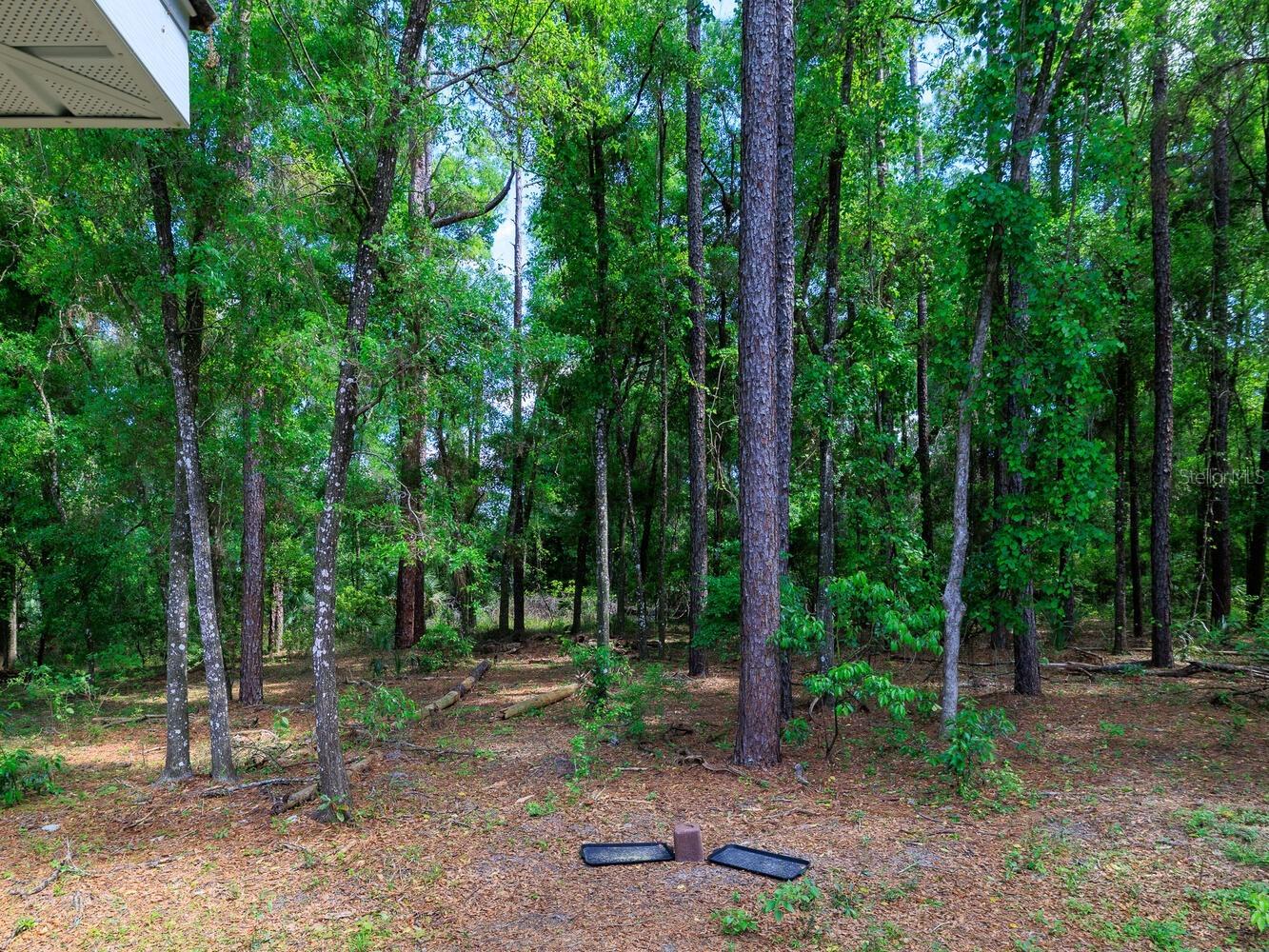 7695 SW 188th Avenue Dunnellon FL 34432 OM724747 image39