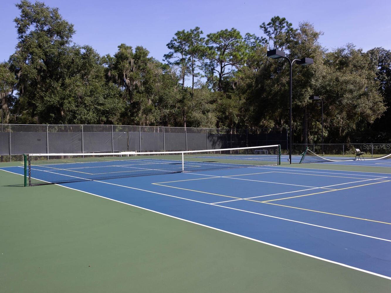 7695 SW 188th Avenue Dunnellon FL 34432 OM724747 image47