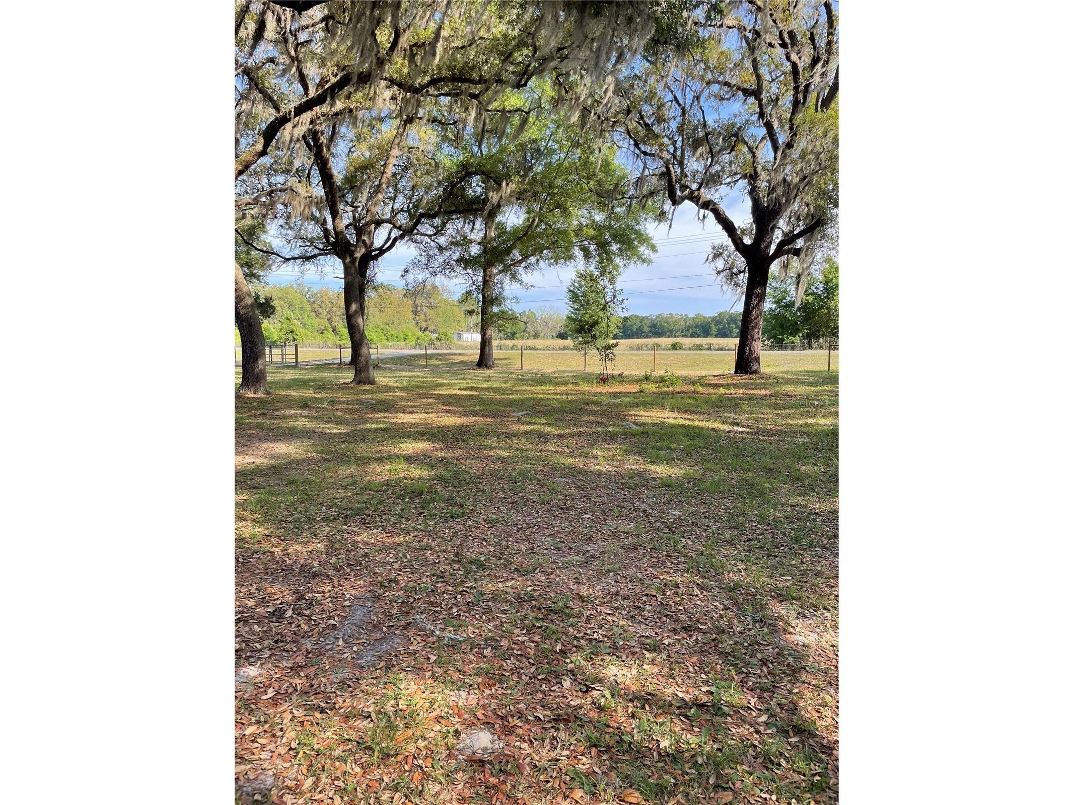 7697 NW 165th Street Trenton FL 32693 W7885007 image5