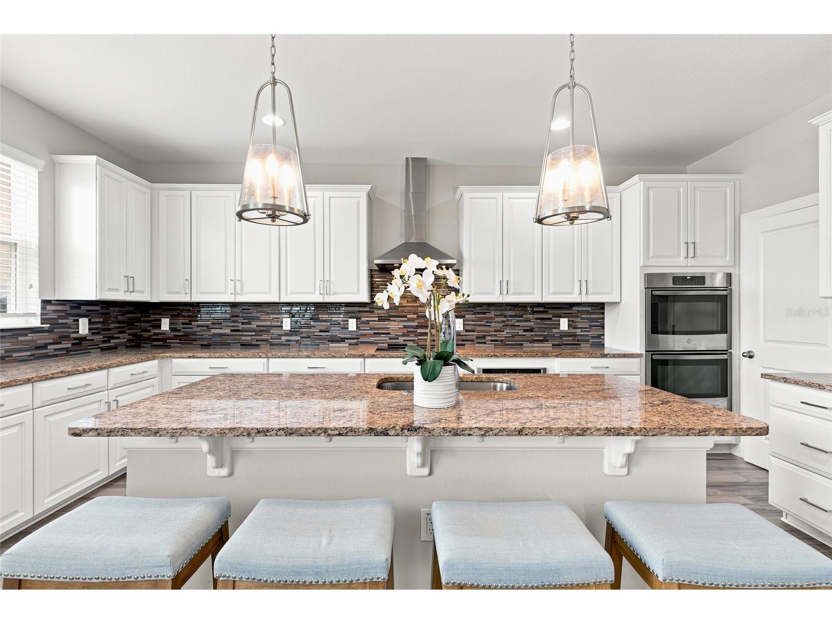 7697 Roma Dune Drive Wesley Chapel FL 33545 TB8530997 image17