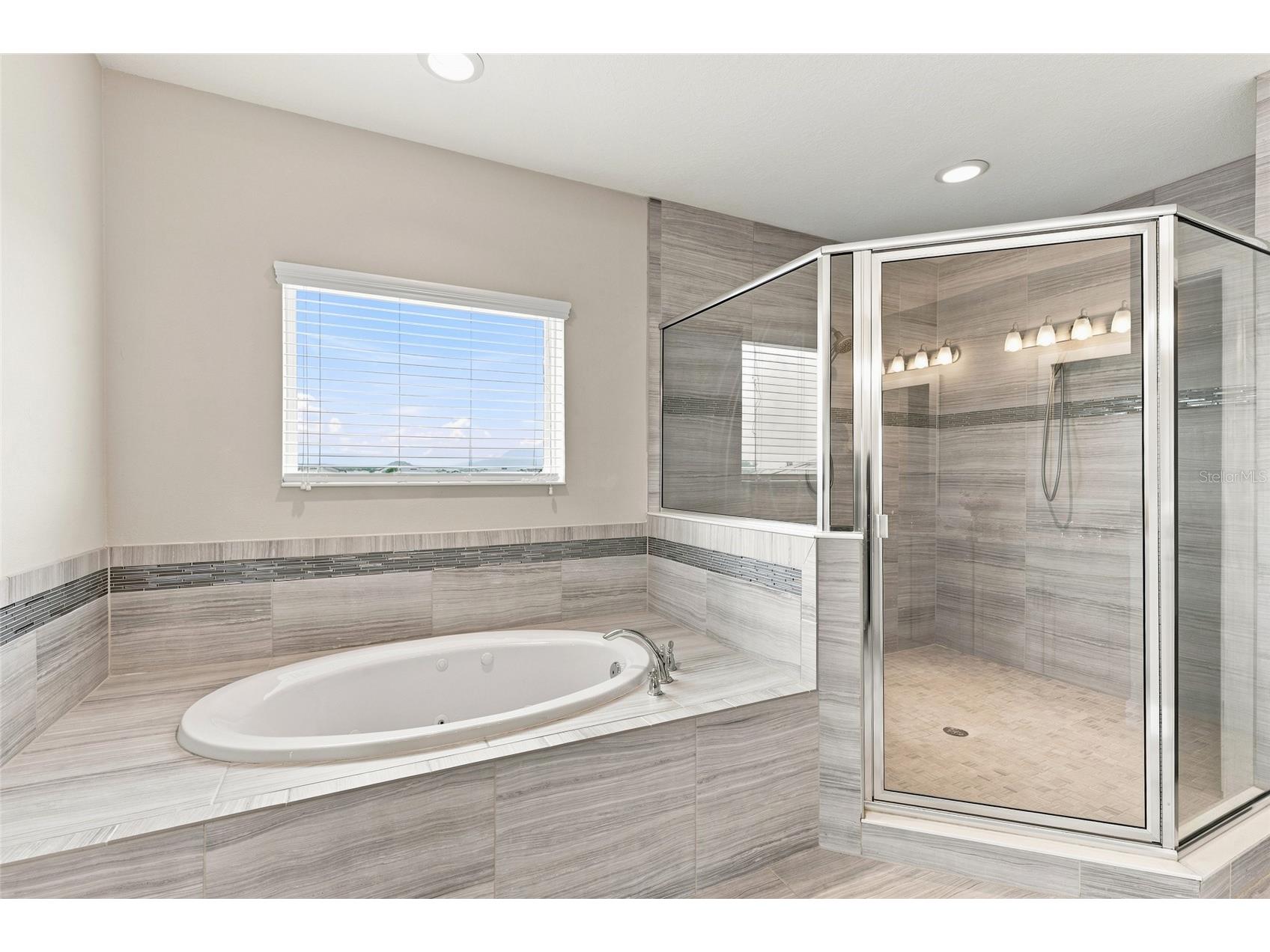 7697 Roma Dune Drive Wesley Chapel FL 33545 TB8530997 image24