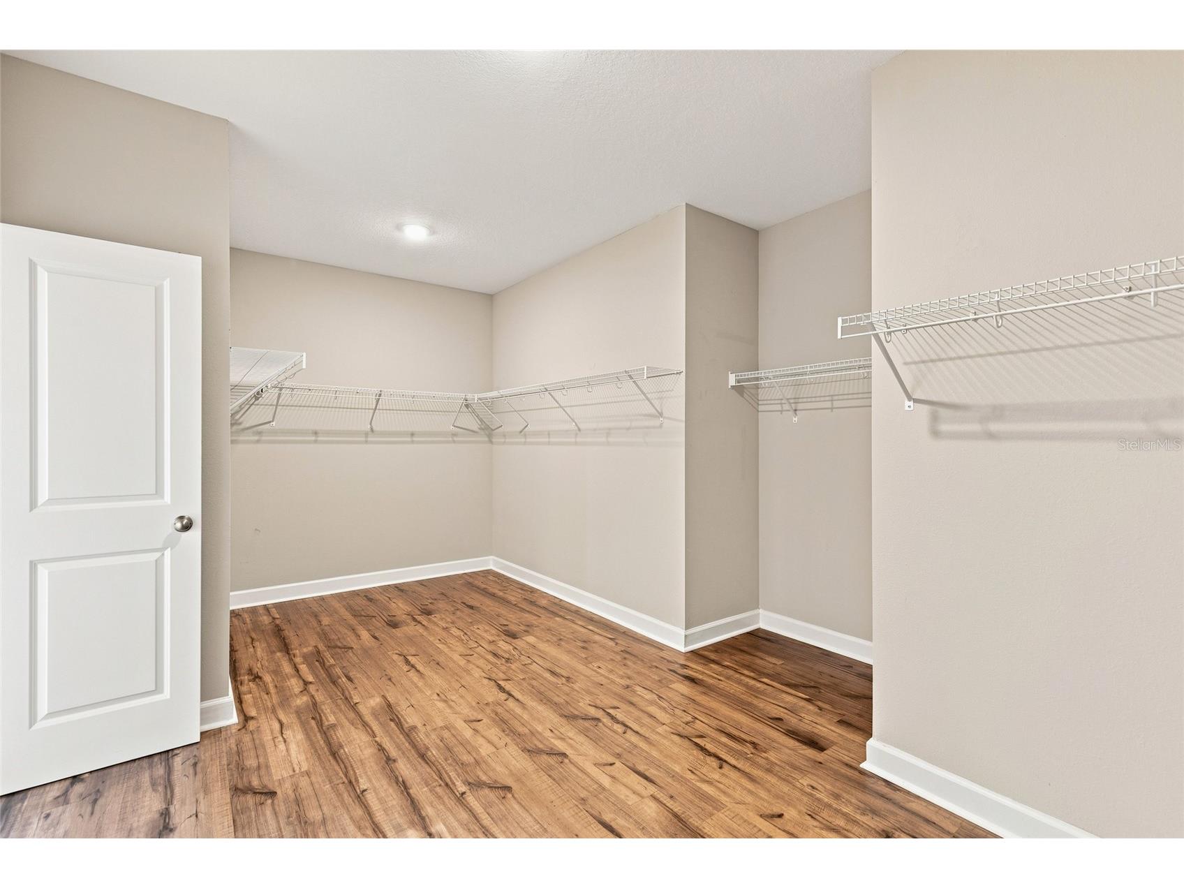 7697 Roma Dune Drive Wesley Chapel FL 33545 TB8530997 image25