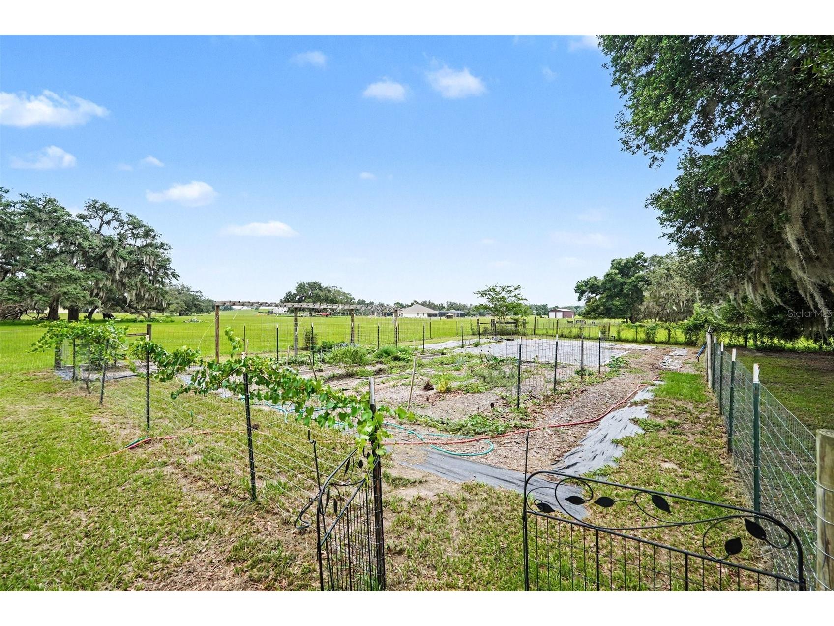 7697 W C 476 Bushnell FL 33513 TB8522792 image26