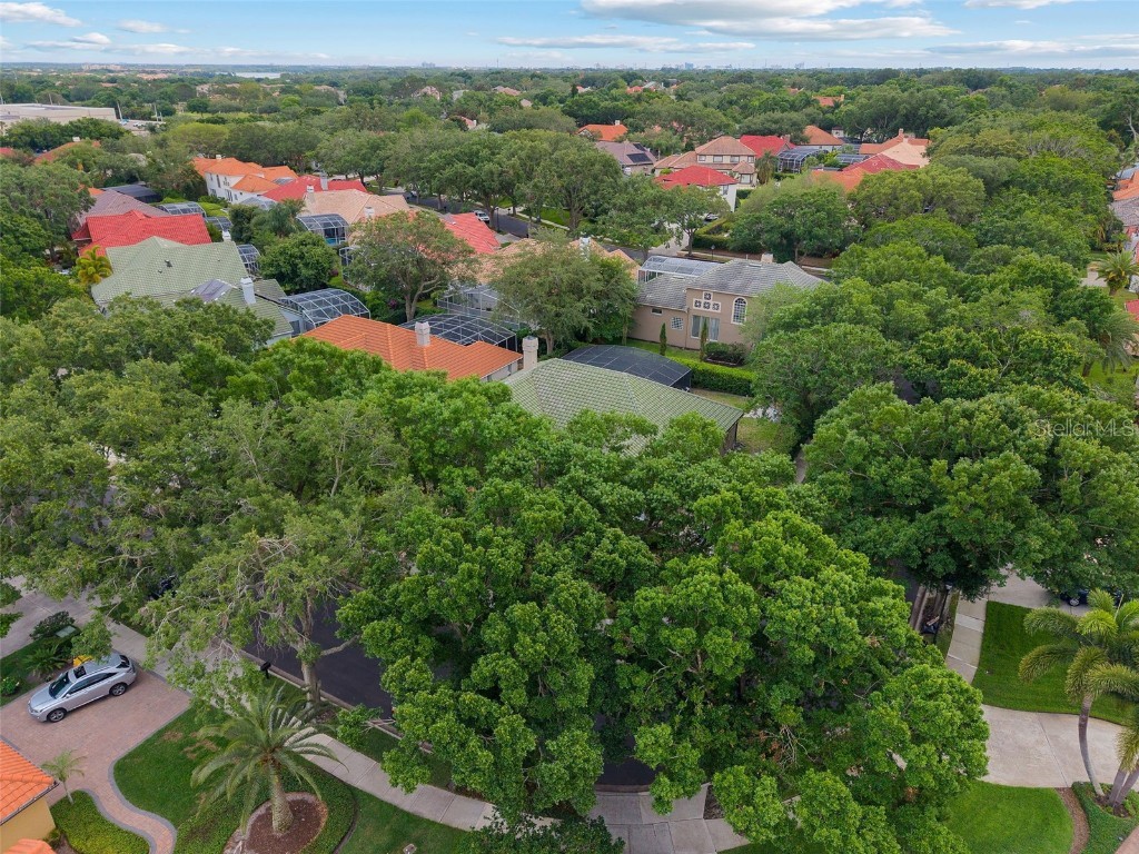 7698 Mount Carmel Drive Orlando FL 32835 O6307190 image44