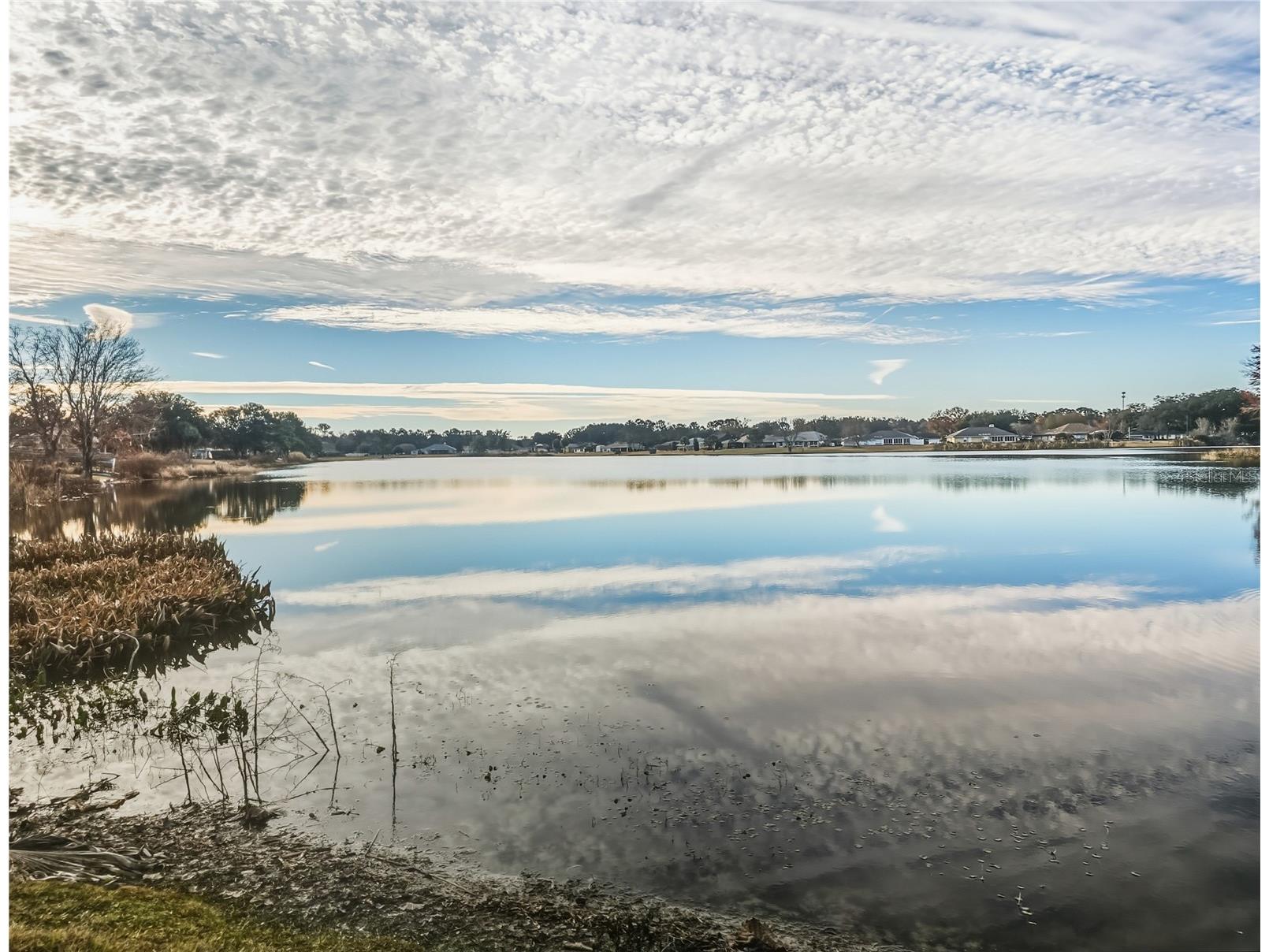 77 Hickory Loop Ocala FL 34472 - Crystal Lake OM718355 image32