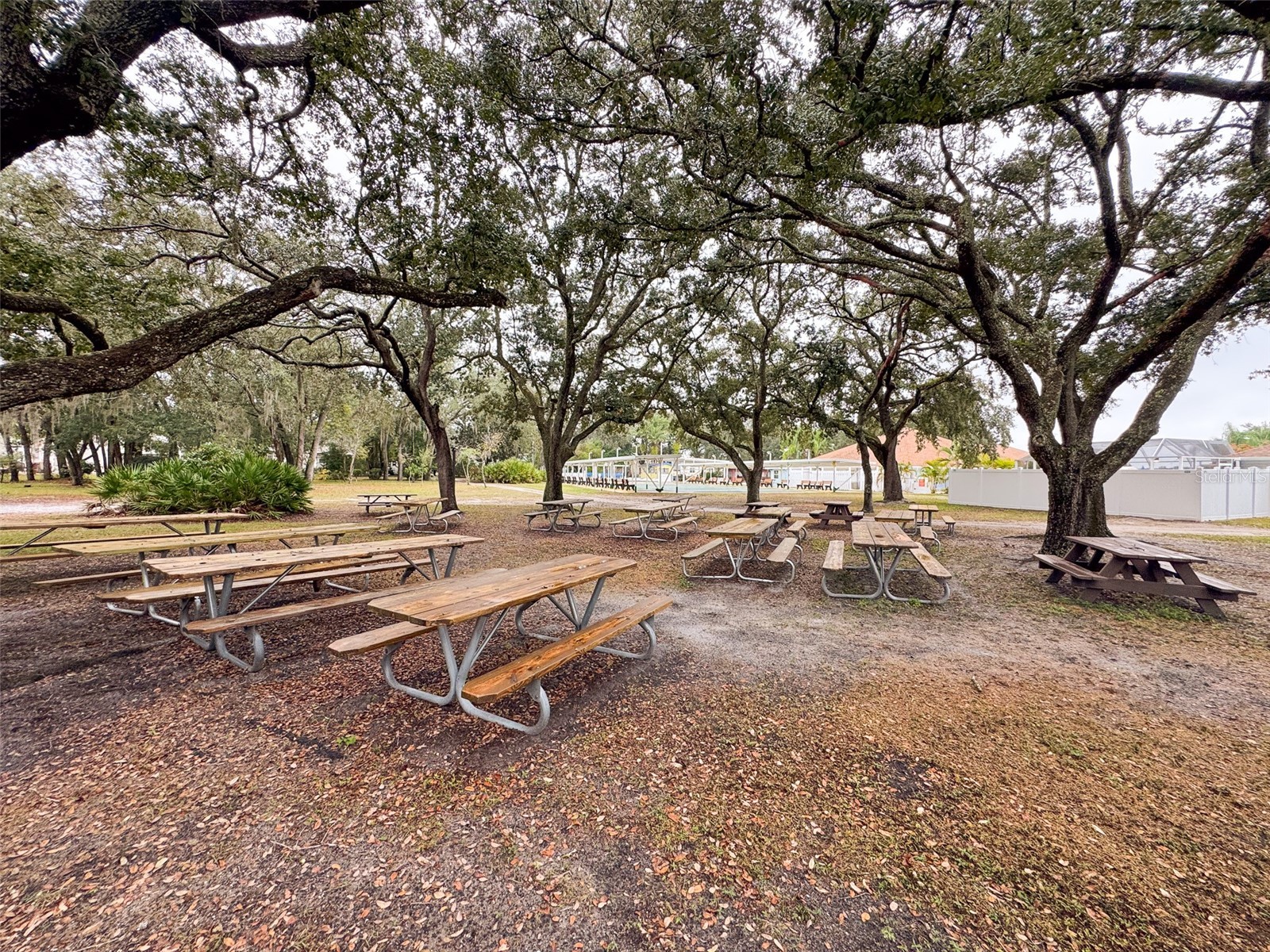 77 Silversides Street Lake Wales FL 33898 L4959755 image37