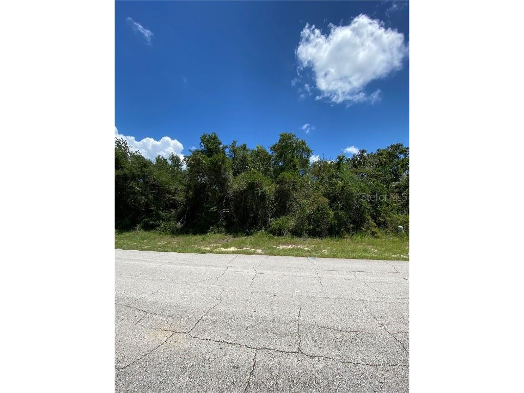 770 Arlene Drive Deltona FL 32725 O6336622 image1