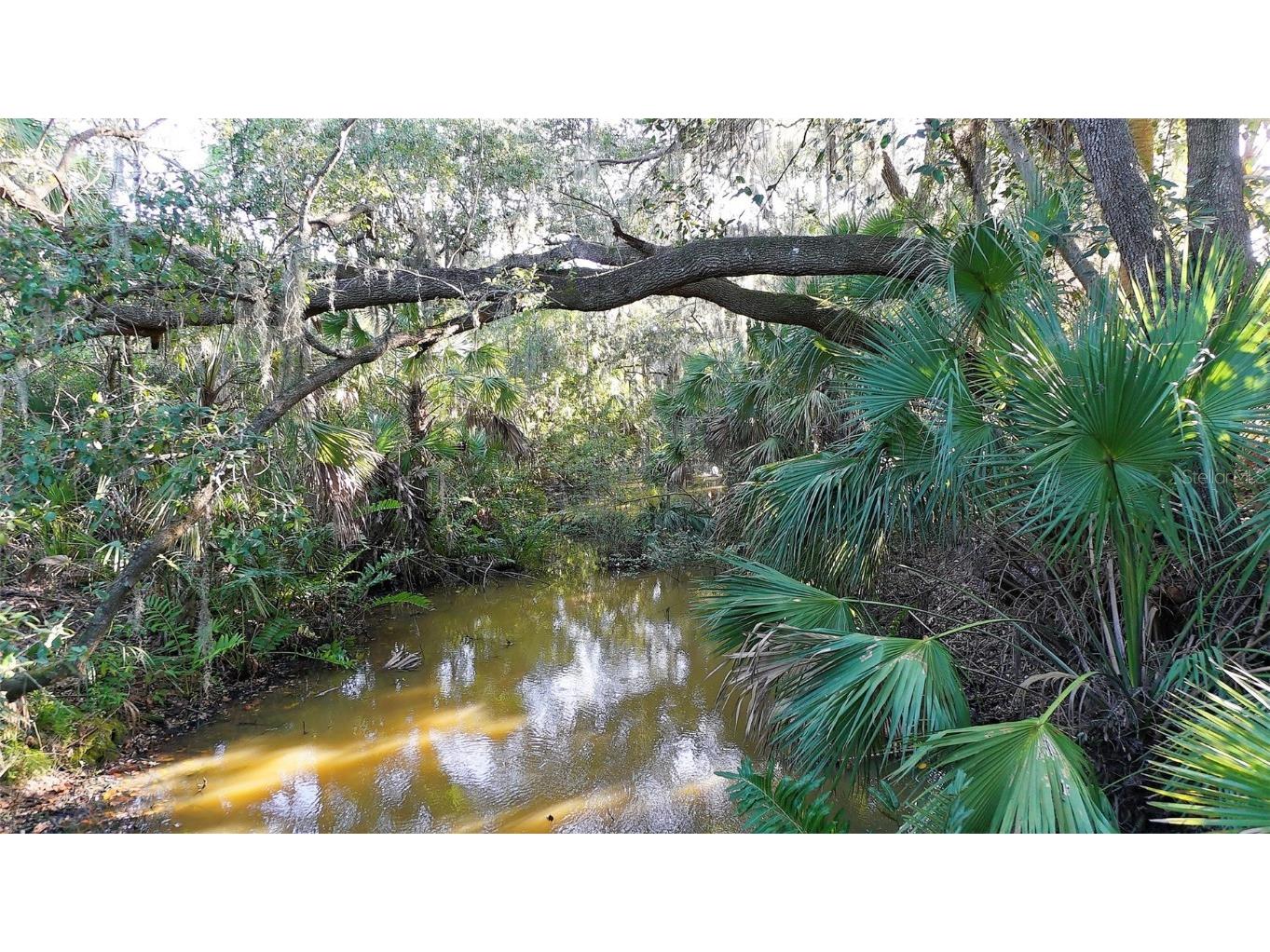 770 Egret Walk Lane Venice FL 34292 A4634641 image87