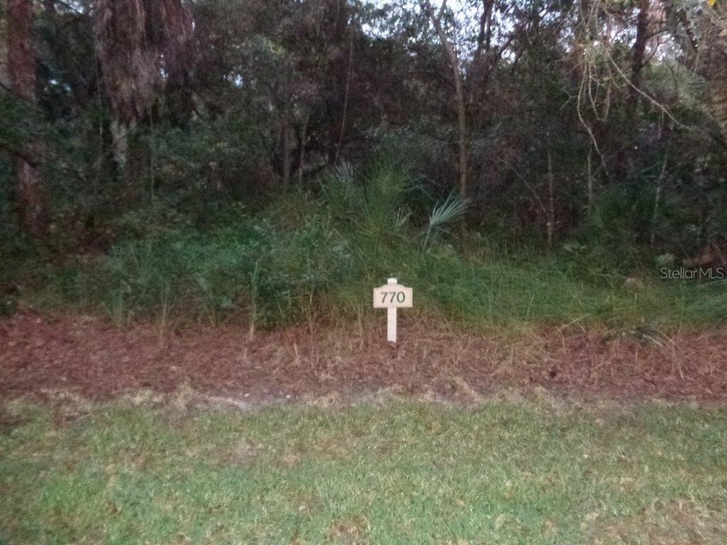 770 N River Road Venice FL 34293 - MYAKKA RIVER A4519606 image1