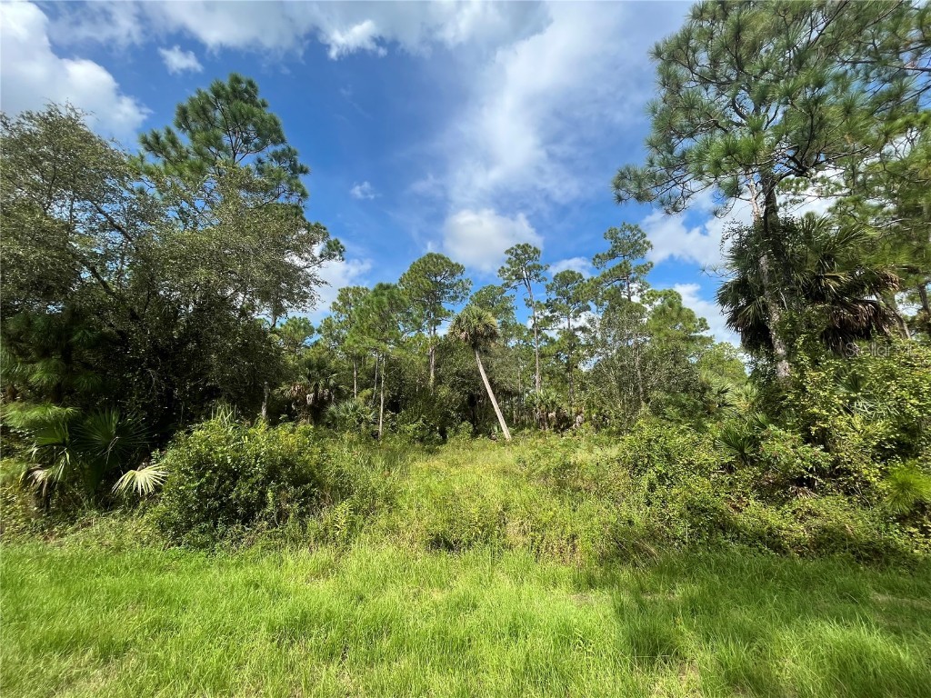 770 S Willow Street Clewiston FL 33440 OK223168 image1