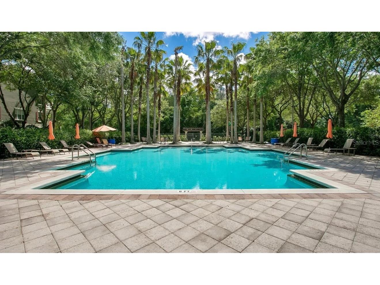 770 Siena Palm Drive #201 Celebration FL 34747 S5141129 image15