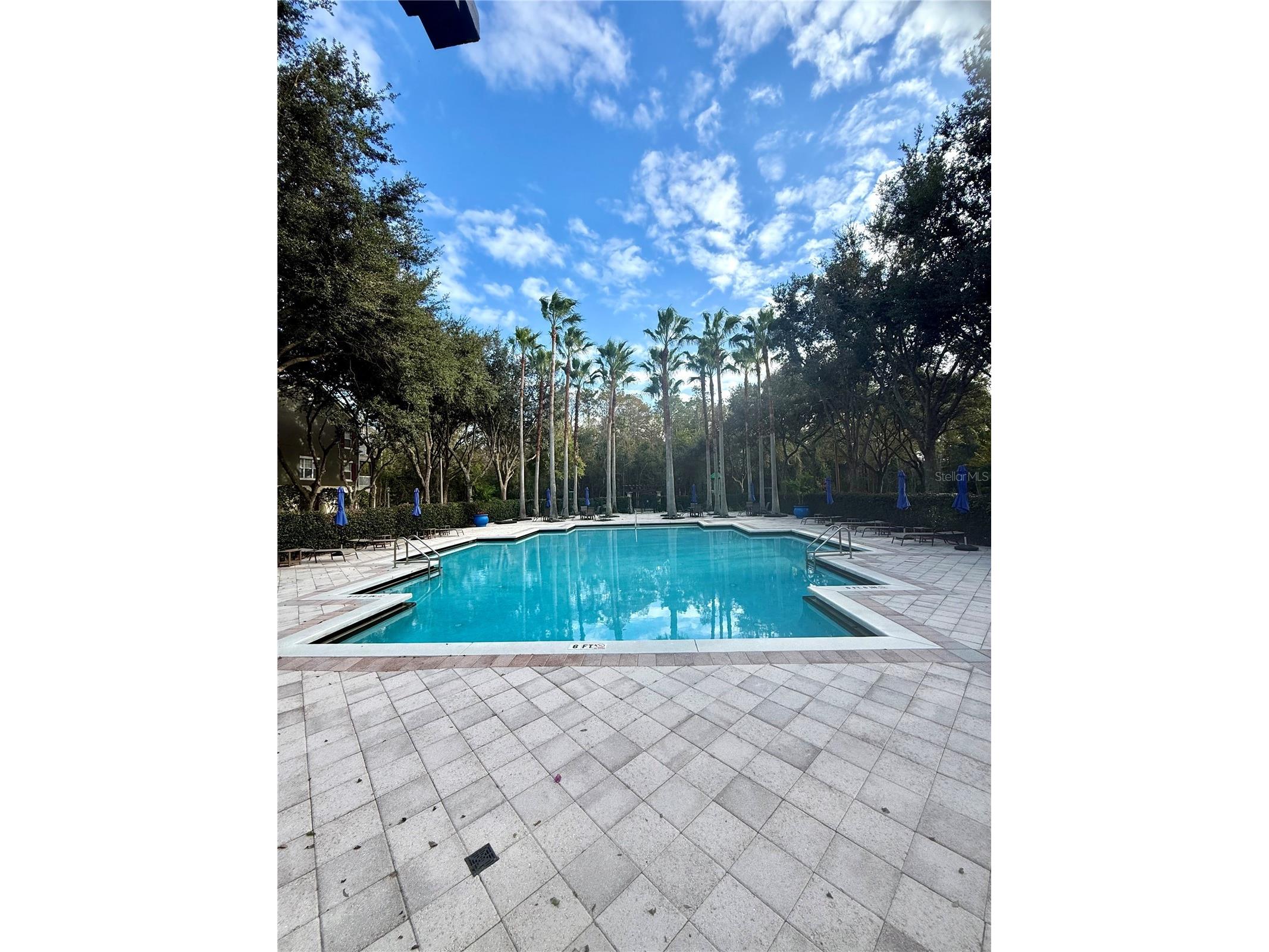 770 Siena Palm Drive #203 Celebration FL 34747 O6364377 image18