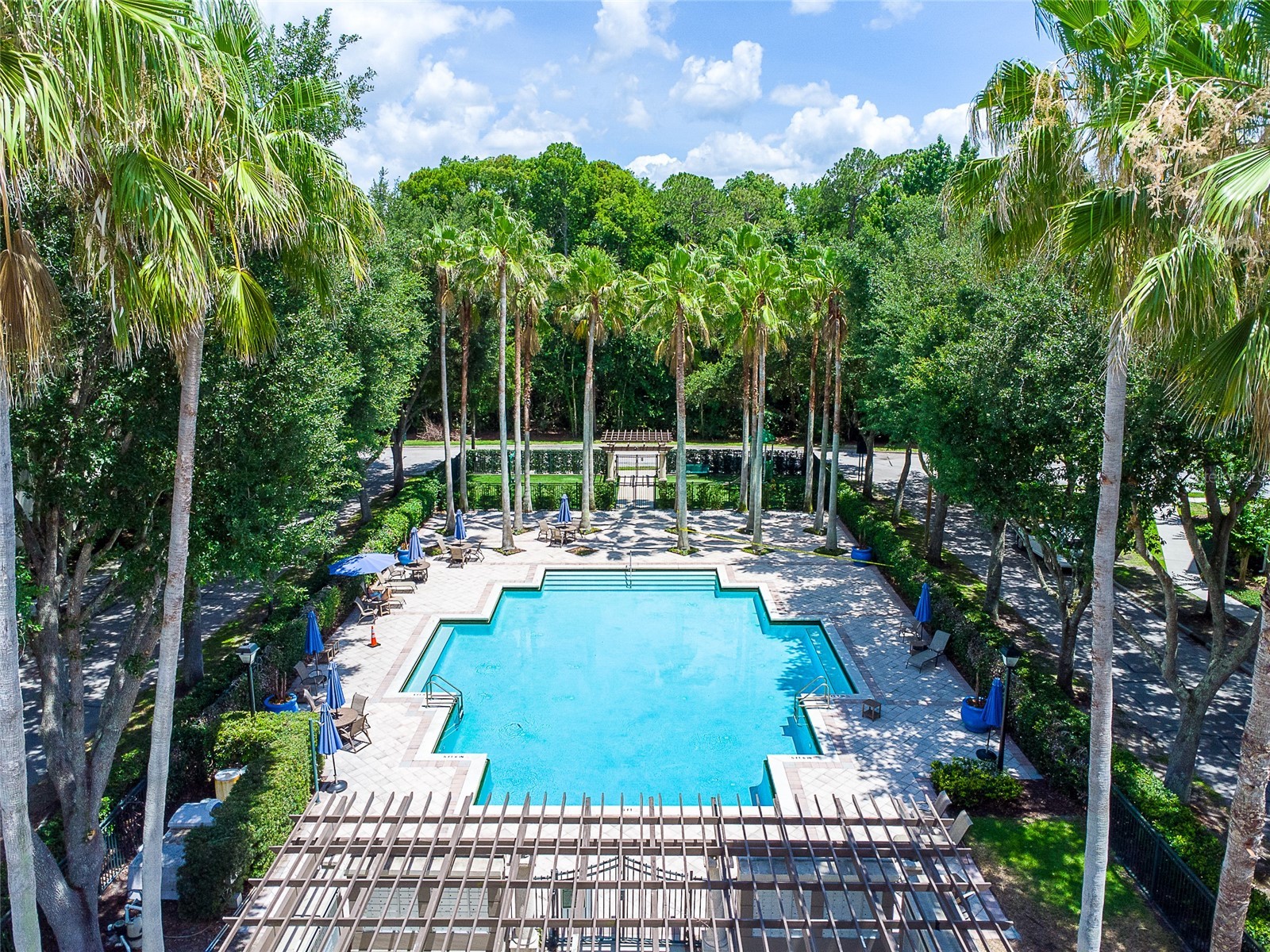 770 Siena Palm Drive #206 Celebration FL 34747 S5151449 image28