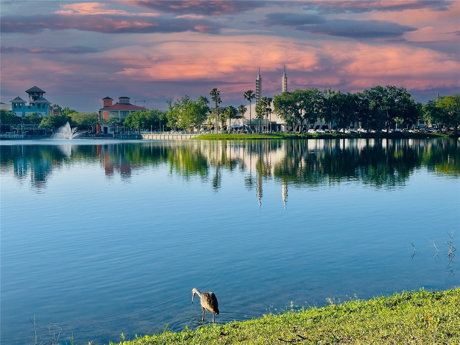 770 Siena Palm Drive #206 Celebration FL 34747 S5151449 image41