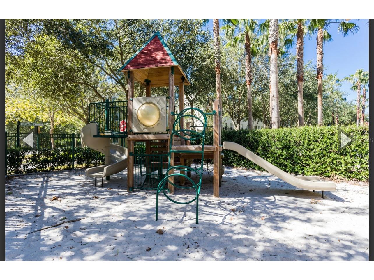 770 Siena Palm Drive #306 Celebration FL 34747 S5147225 image13