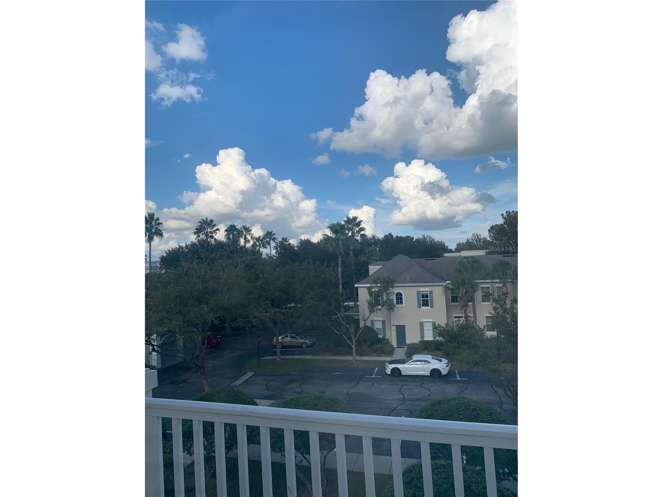 770 Siena Palm Drive #307 Celebration FL 34747 S5145791 image19