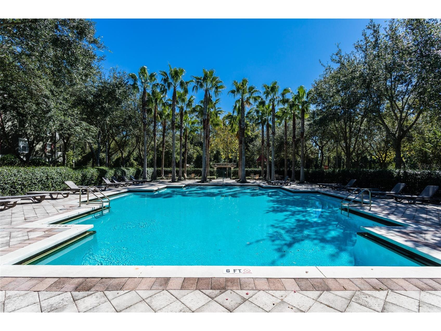 770 Siena Palm Drive #307 Celebration FL 34747 S5145791 image21