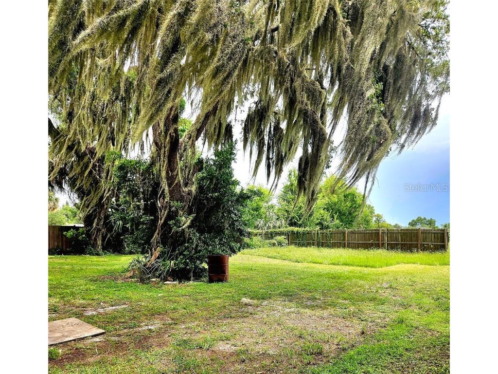 770 W Webster Avenue #REAR LOT Winter Park FL 32789 O6323647 image2