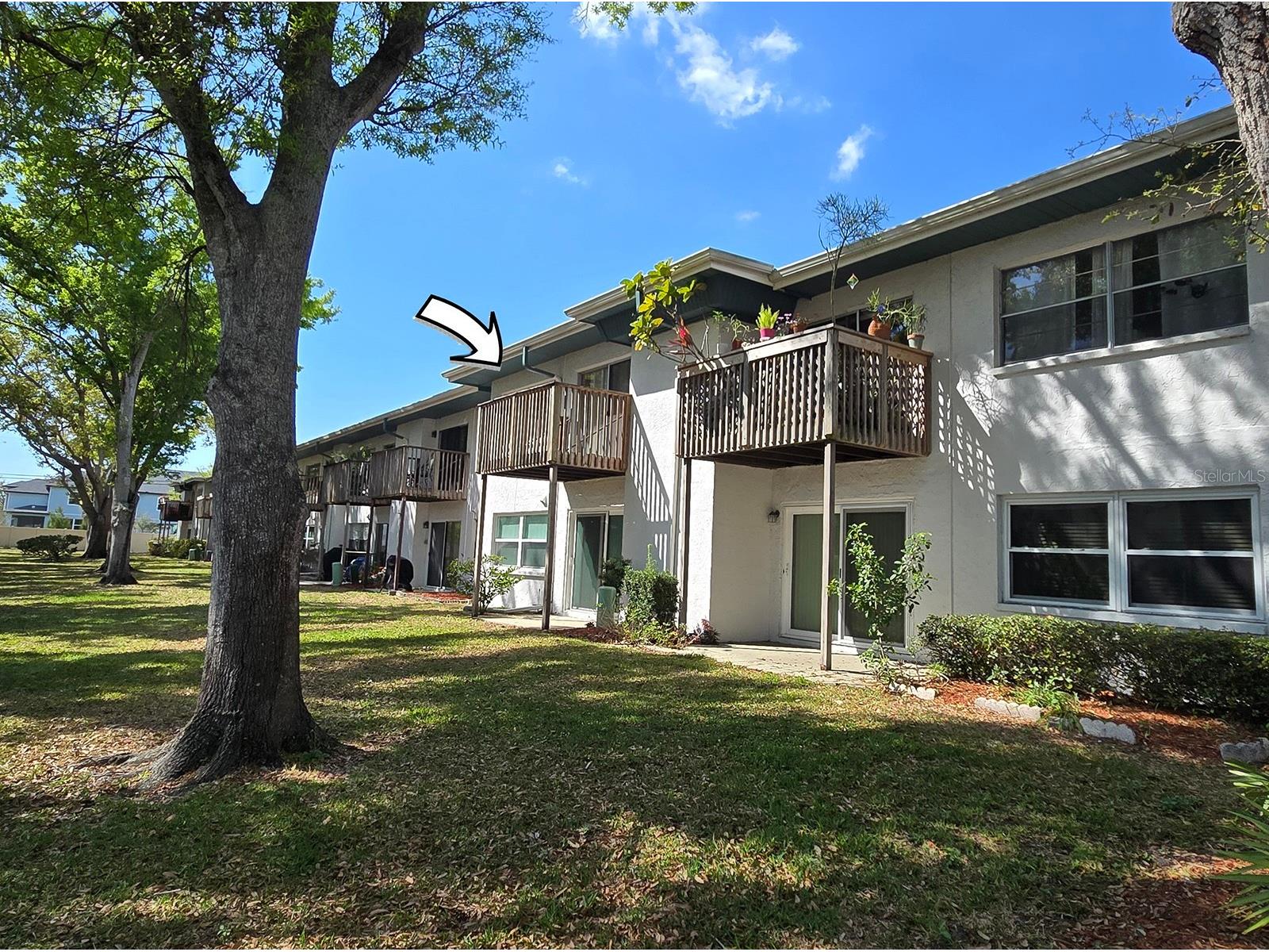 7700 92nd Street #202 Seminole FL 33777 TB8485692 image2