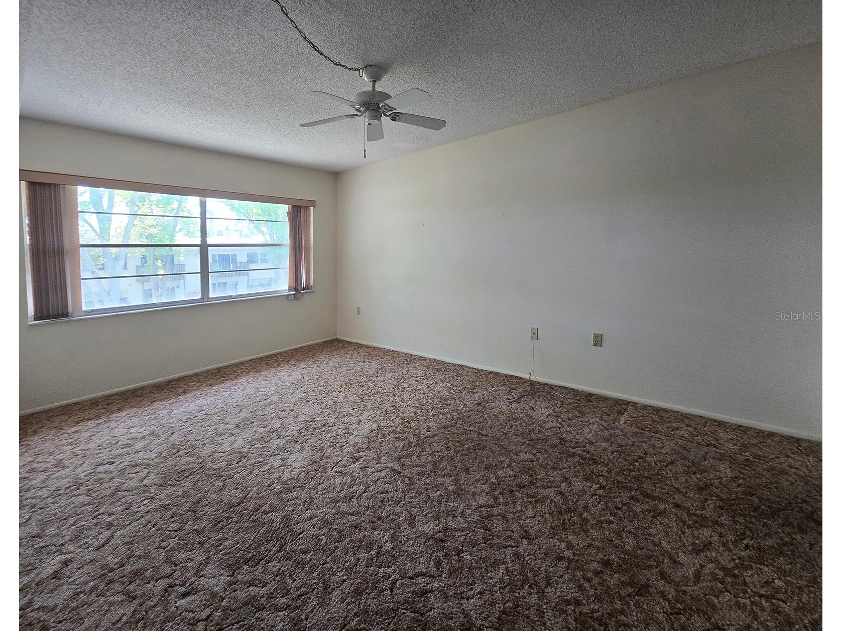 7700 92nd Street #202 Seminole FL 33777 TB8485692 image21