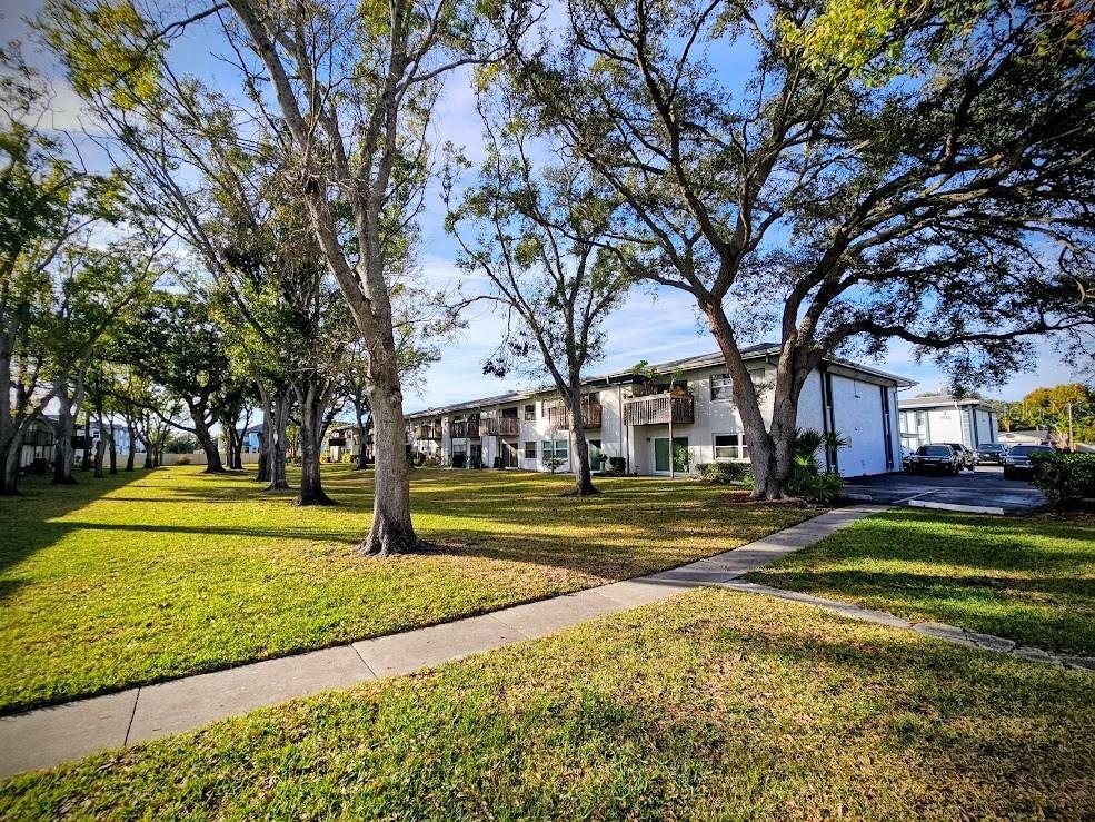 7700 92nd Street #203 Seminole FL 33777 TB8463929 image1