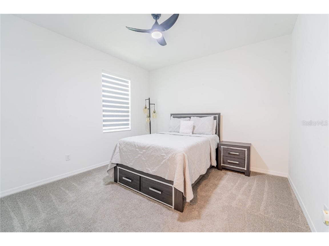 7700 Bronze Oak Drive Wesley Chapel FL 33545 TB8435860 image23