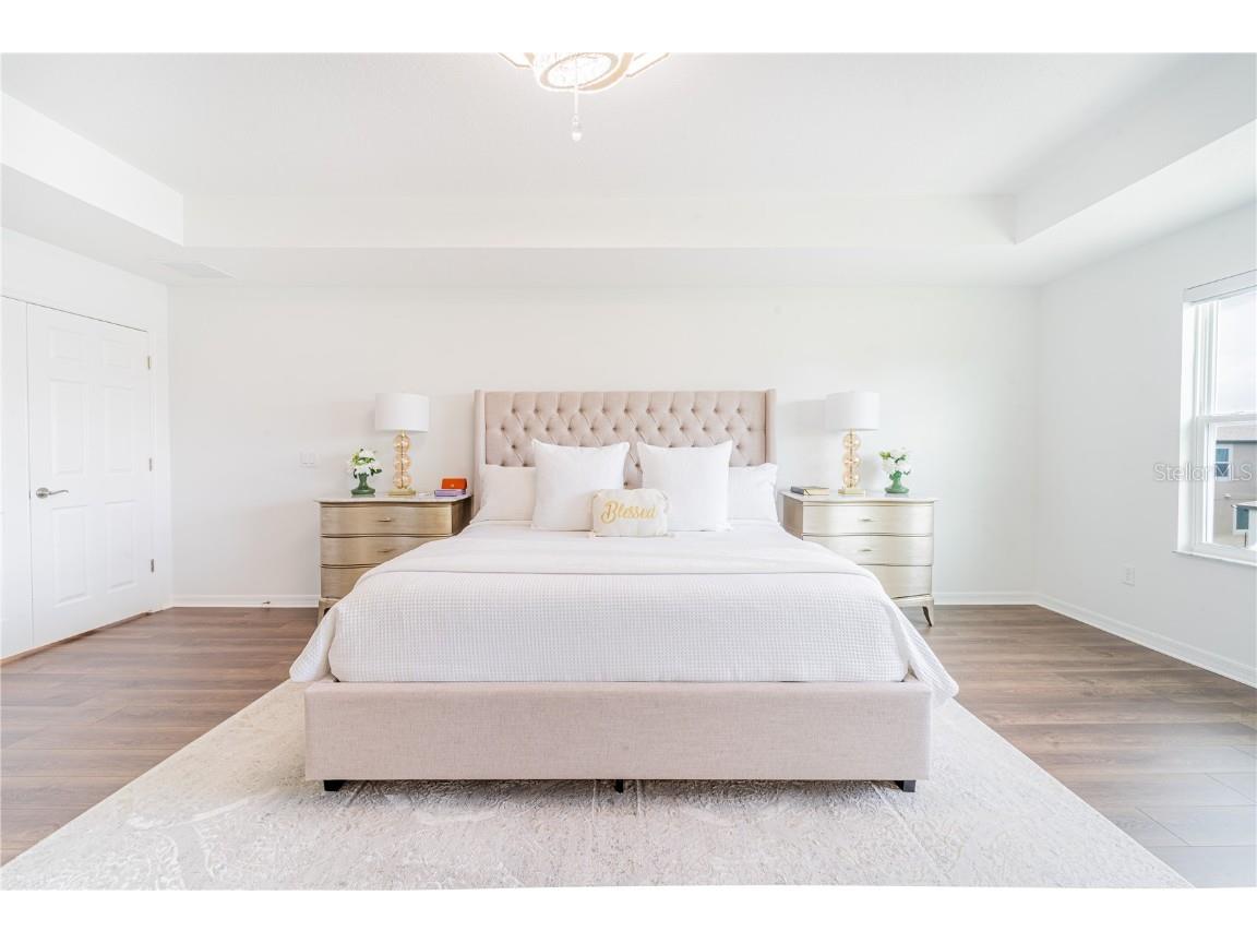 7700 Bronze Oak Drive Wesley Chapel FL 33545 TB8435860 image42