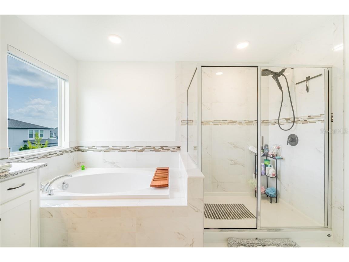 7700 Bronze Oak Drive Wesley Chapel FL 33545 TB8435860 image46