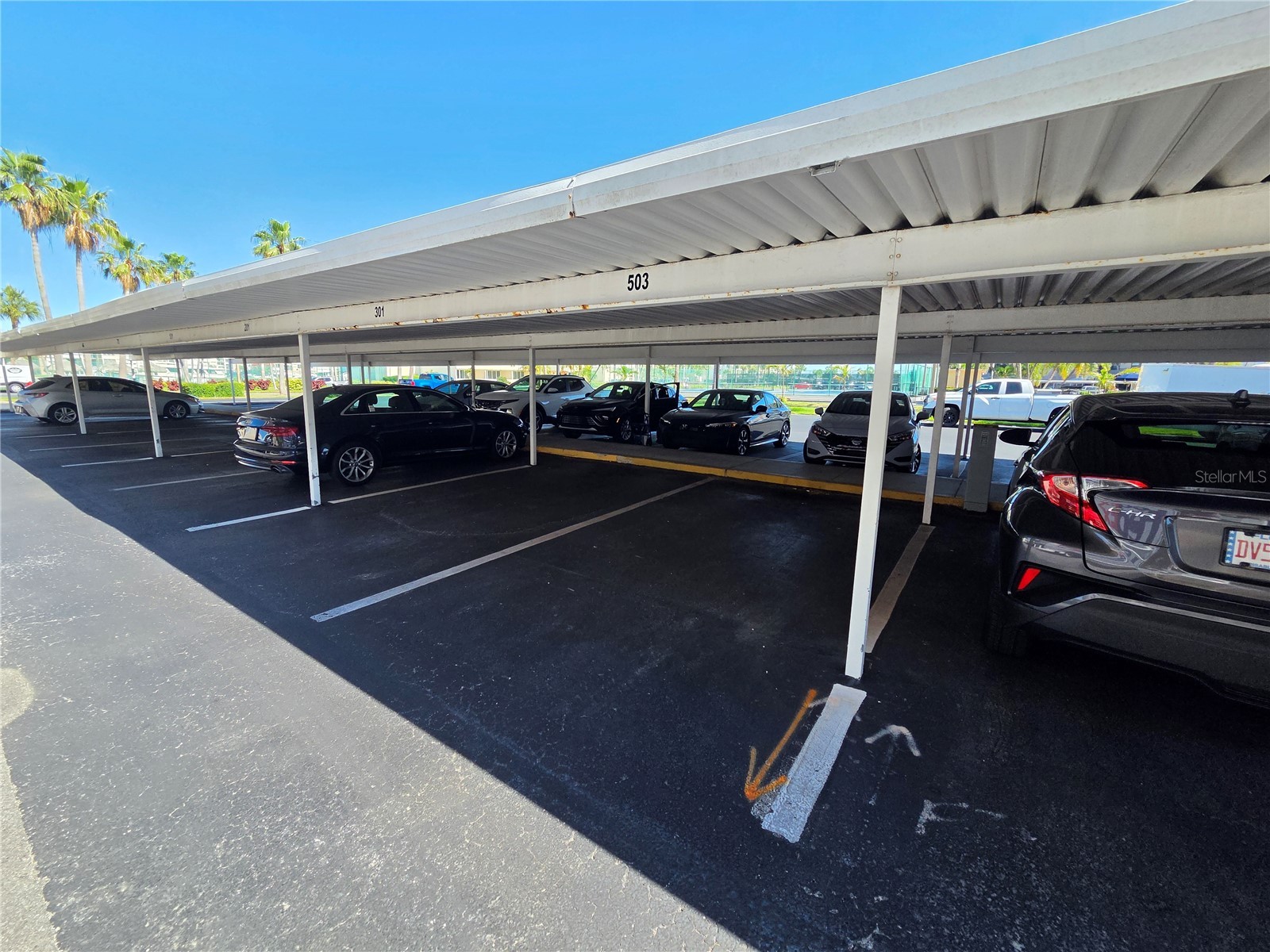 7700 Sun Island Drive S #503 South Pasadena FL 33707 TB8506361 image15