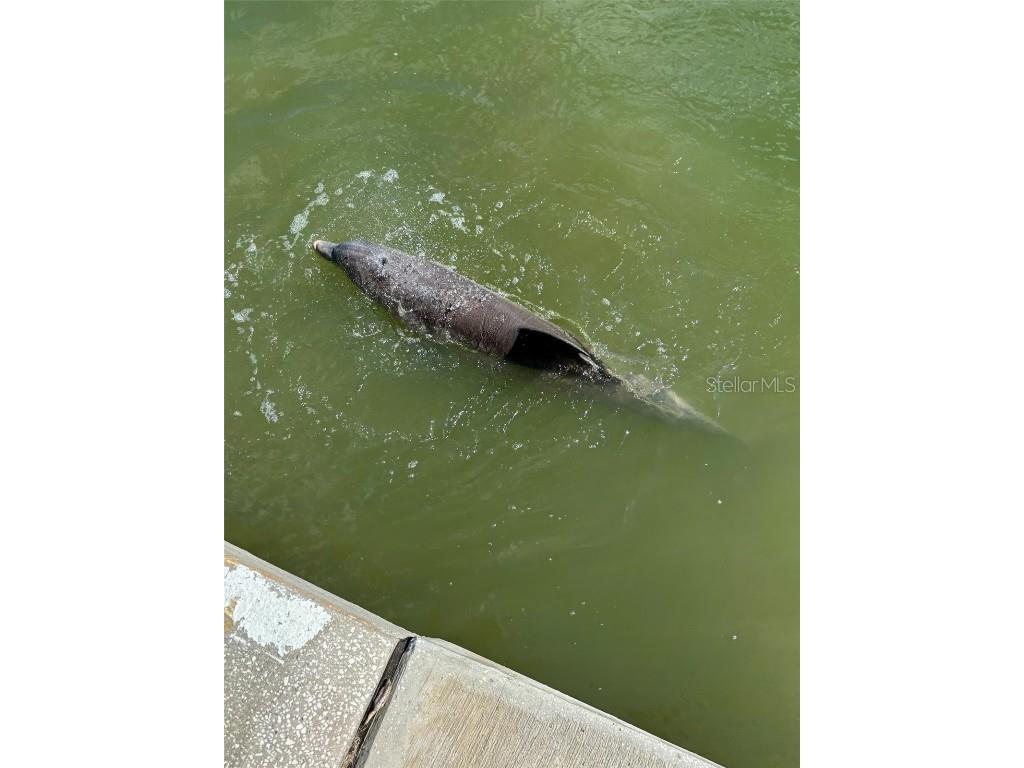 7700 Sun Island Drive S #506 South Pasadena FL 33707 - BOCA CIEGA BAY TB8376551 image58