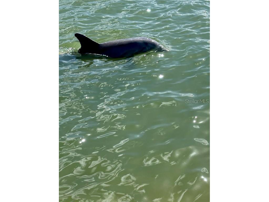 7700 Sun Island Drive S #506 South Pasadena FL 33707 - BOCA CIEGA BAY TB8376551 image61