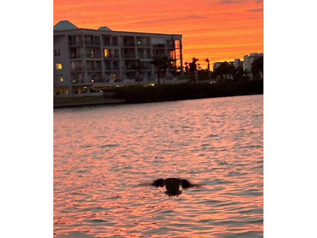 7700 Sun Island Drive S #506 South Pasadena FL 33707 - BOCA CIEGA BAY TB8376551 image62