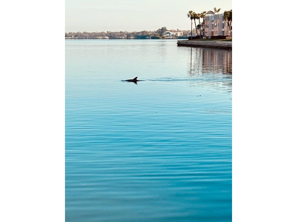 7700 Sun Island Drive S #608 South Pasadena FL 33707 - BOCA CIEGA BAY TB8355410 image7