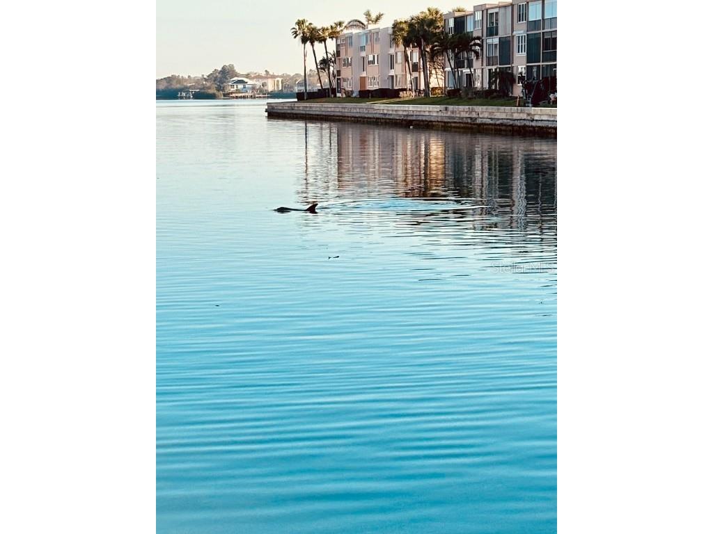 7700 Sun Island Drive S #608 South Pasadena FL 33707 - BOCA CIEGA BAY TB8355410 image9